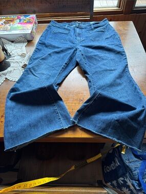 Judy Blue Dark Blue Women's Flared Jeans size 18W